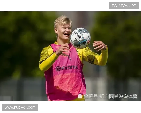 劳塔罗与理查利森：终结效率与战术角色对比分析